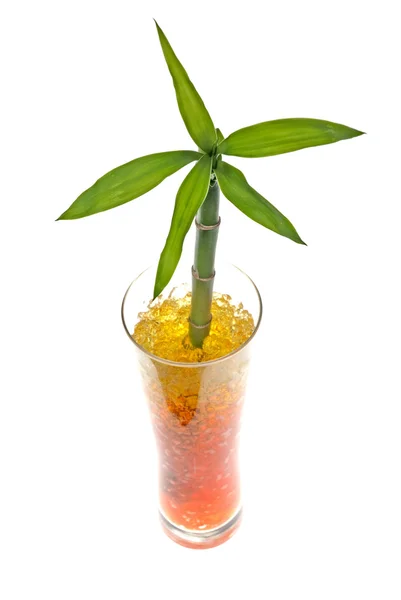 Vaso di vetro con bambù — Foto Stock