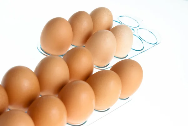 Egg – stockfoto