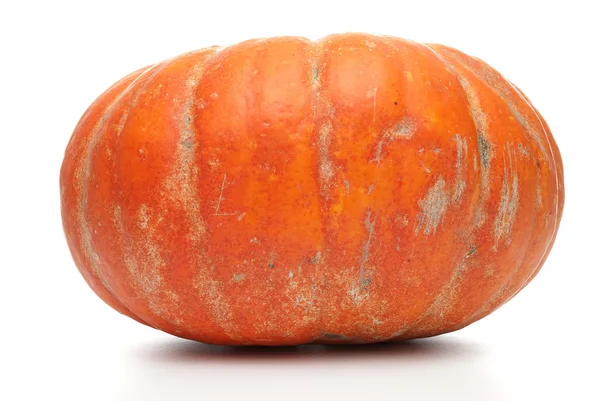 Спелая оранжевая органическая тыква — стоковое фото