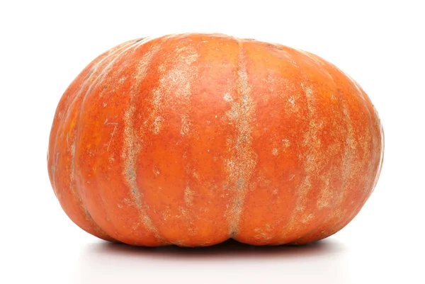 Abóbora laranja — Fotografia de Stock