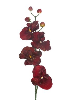 Kırmızı christmas dekorasyon