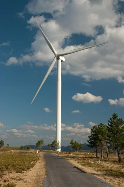 Rüzgar Türbini Yenilenebilir Enerji Kaynağı — Stok fotoğraf