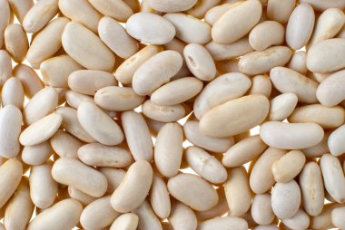 White bean background clipart