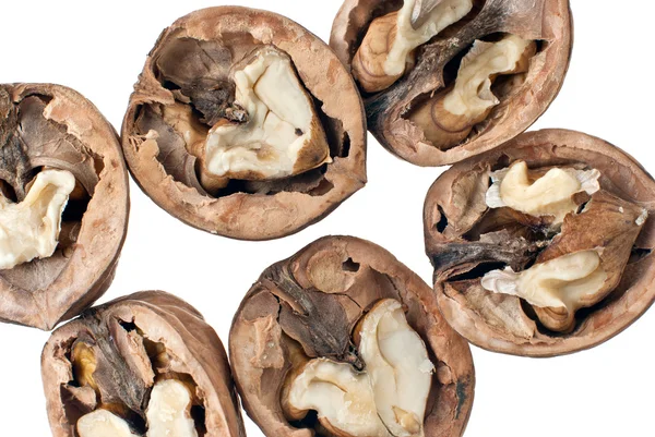 Walnuts Closeup Isolated White Background — Stock Photo, Image