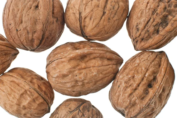 Walnuts in closeup — Stock Photo, Image