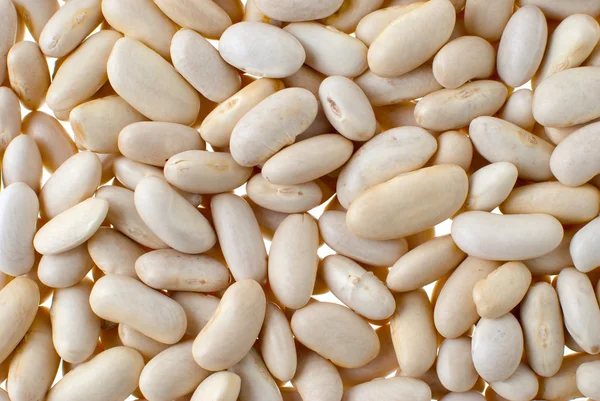 White bean background — Stock Photo, Image