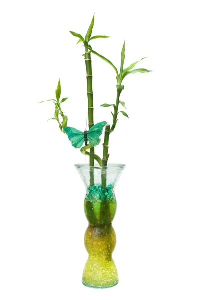 Bambus Vase Isolert Hvit Bakgrunn – stockfoto
