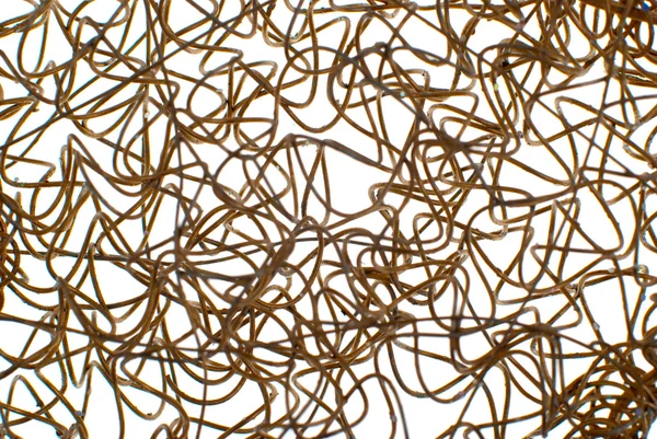 Złoty drut siatki tło — Zdjęcie stockowe