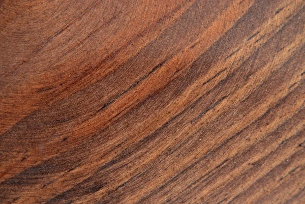 stock image Oak texture