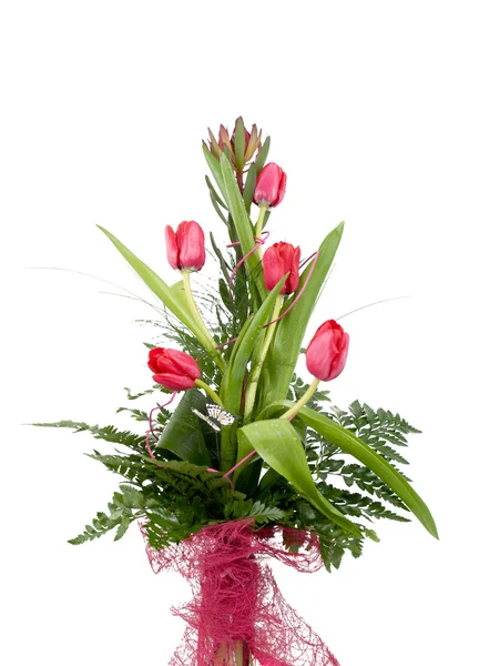 Bouquet Belles Tulipes Rouges Isolées Sur Fond Blanc — Photo