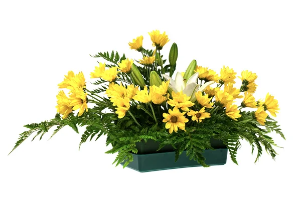Žluté sedmikrásky a bílé květy uspořádání — Stock fotografie