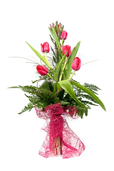 Bouquet of beautiful red tulips — Stock Photo, Image