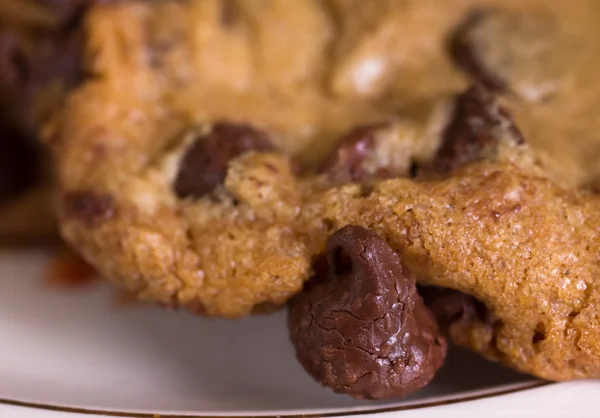 Closeup Της Ένα Cookietre Τσιπ Σοκολάτας — Φωτογραφία Αρχείου