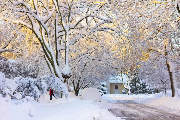 雪に覆われたアメリカの近所 — ストック写真