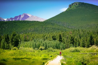 A scenic view of the Colorado Rocky Mountains with a hiker walking along a trail clipart