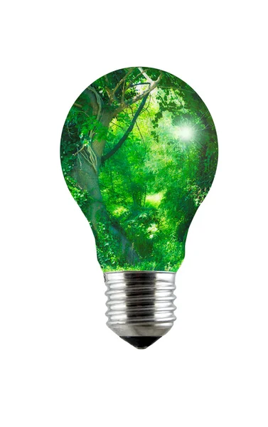 stock image Forest Lightbulb