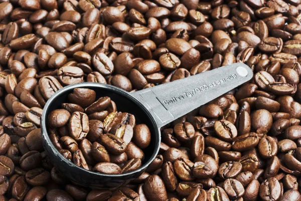 Feijões de café em colher de medição — Fotografia de Stock