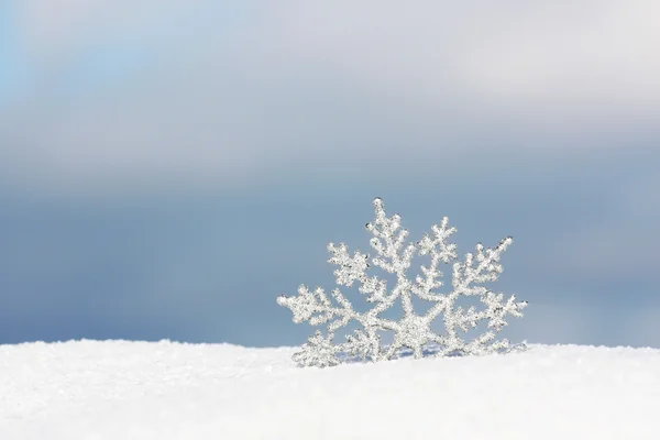 Floco de neve congelado — Fotografia de Stock
