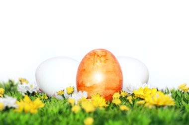 Easter eggs on a decoration grass