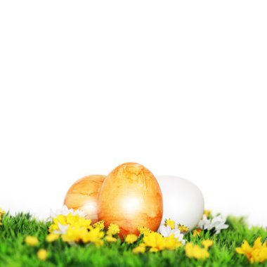 Yellow painted Easter eggs clipart