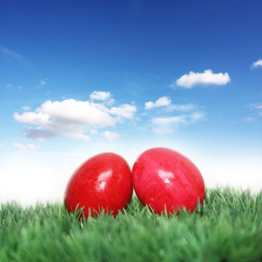 Easter eggs on green grass clipart