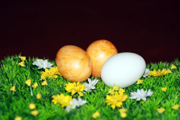 Eastereggs — Fotografia de Stock
