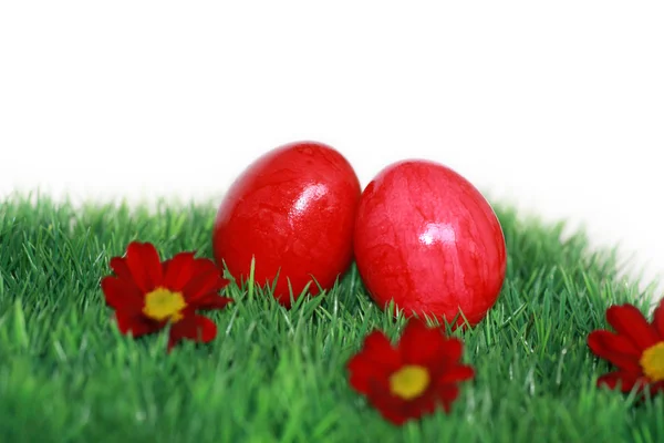 Ovos de Páscoa vermelhos e flores vermelhas — Fotografia de Stock