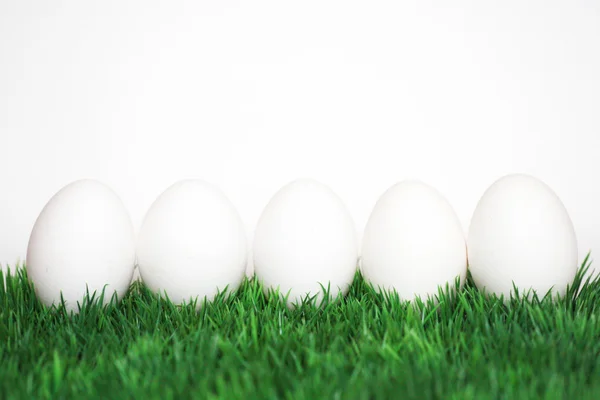 화이트 계란 — 스톡 사진