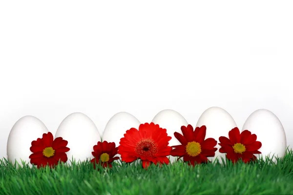Білі яйця з червоними квітами — стокове фото