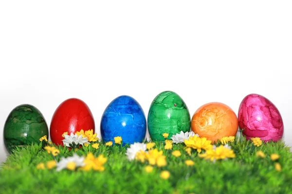 Desfile de ovos — Fotografia de Stock