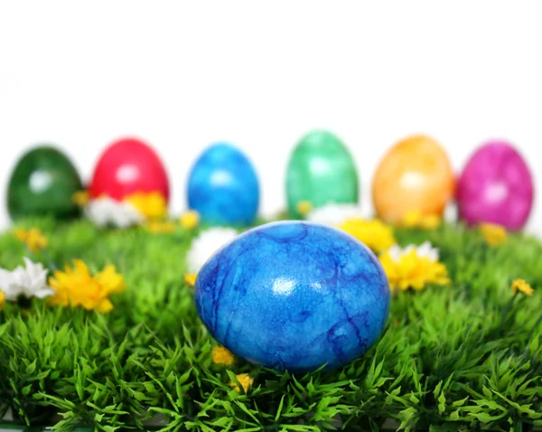 Blue egg in the foreground — Stock Photo, Image