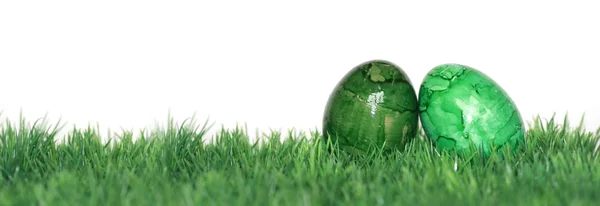 Gröna fält och gröna ägg — Stockfoto