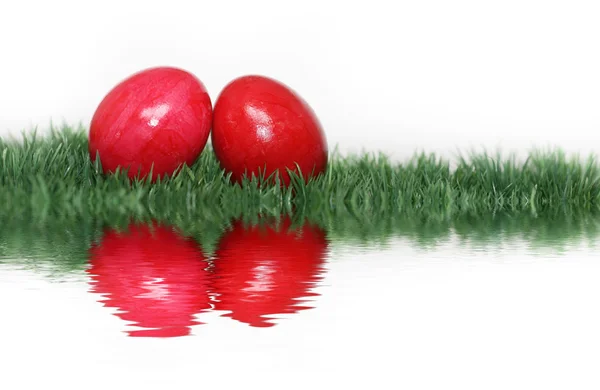 Червоний яйця дзеркальне відображення — стокове фото