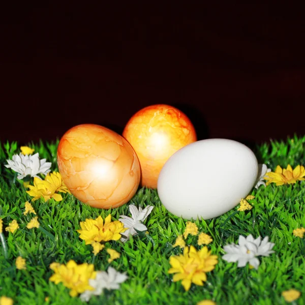 Decorazione uovo di Pasqua per Pasqua — Foto Stock