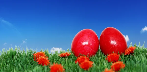 Banner for Easter — Stock Photo, Image