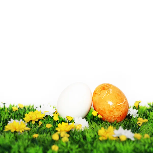 Sárga és fehér tojás — Stock Fotó