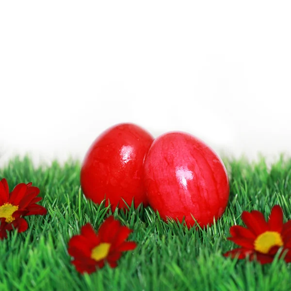 Ovos vermelhos no prado verde — Fotografia de Stock