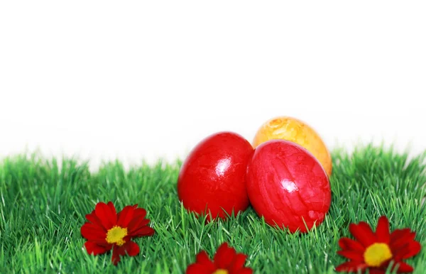 Piękny motyw Wielkanoc — Zdjęcie stockowe