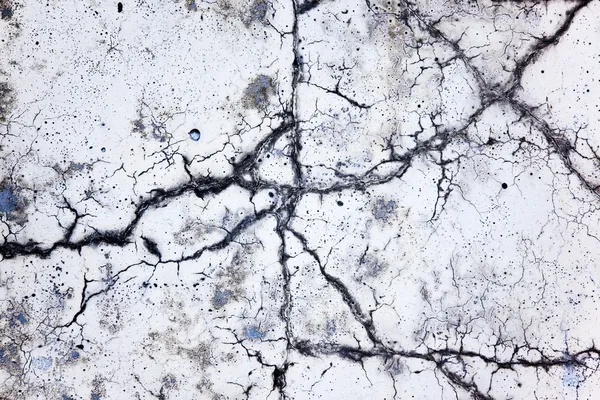 Scenic crack in concrete — Stock Photo, Image