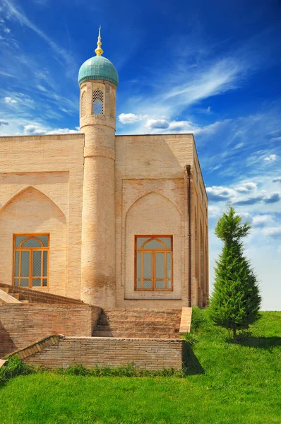 Вид на мечеть — стоковое фото