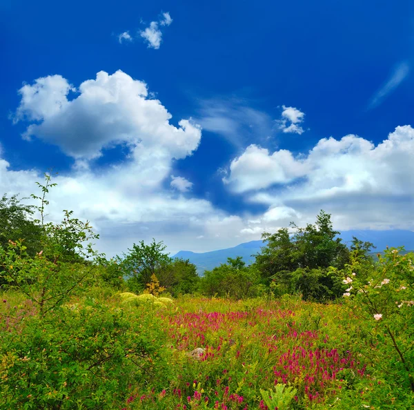 Vista mágica — Foto de Stock