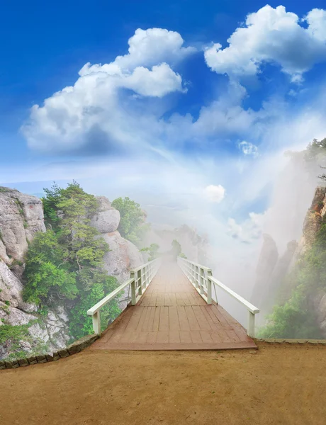 風光明媚な公園の木橋 — ストック写真