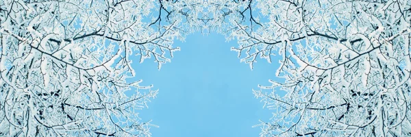 最初の新年の朝霜は 紺碧の空を背景に木の枝をカバーしています — ストック写真
