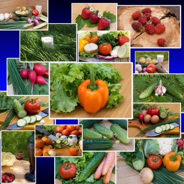 The vegetarian menu tasty also is useful for health clipart
