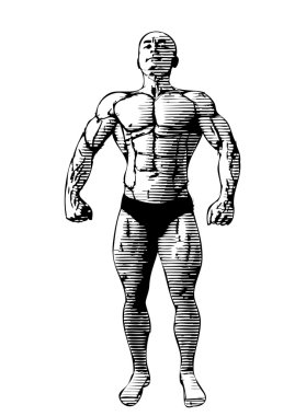 Bodybuilder 2 clipart