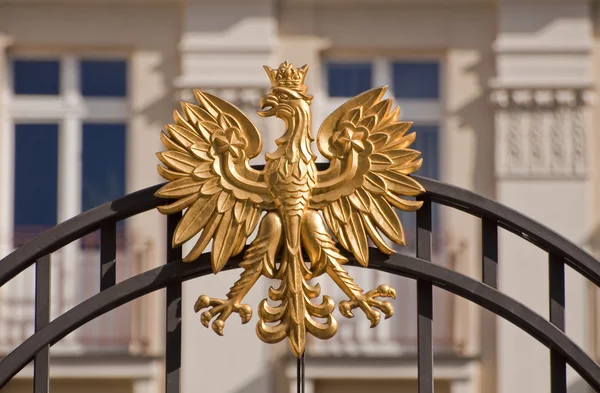 Foto Uma Águia Símbolo Nacional Polonês — Fotografia de Stock