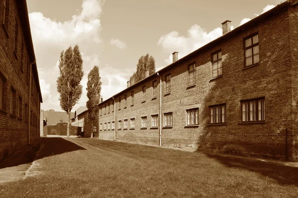 폴란드의 아우슈비츠 비르케나우 수용소의 수감자 — 스톡 사진