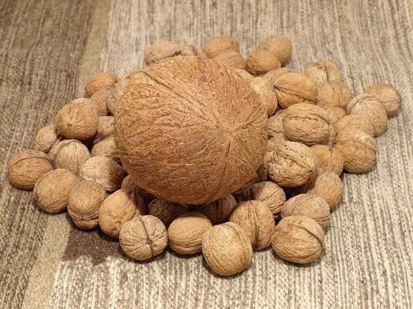 Kokos och walnuts.background. — Stockfoto
