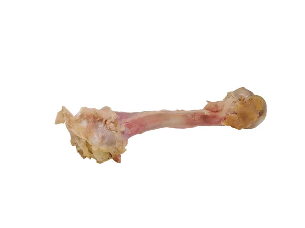 Kivételezett Csirke Csont Fehér Alapon — Stock Fotó