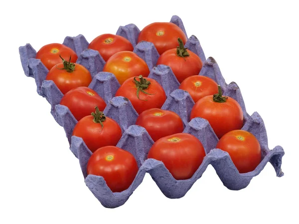 Pomidory w doniczce. — Zdjęcie stockowe